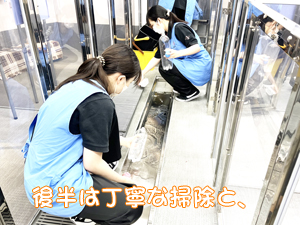 ２年生、子犬のお世話☆